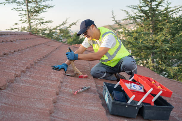 Best Gutter Installation and Roofing  in Maple Heights, OH