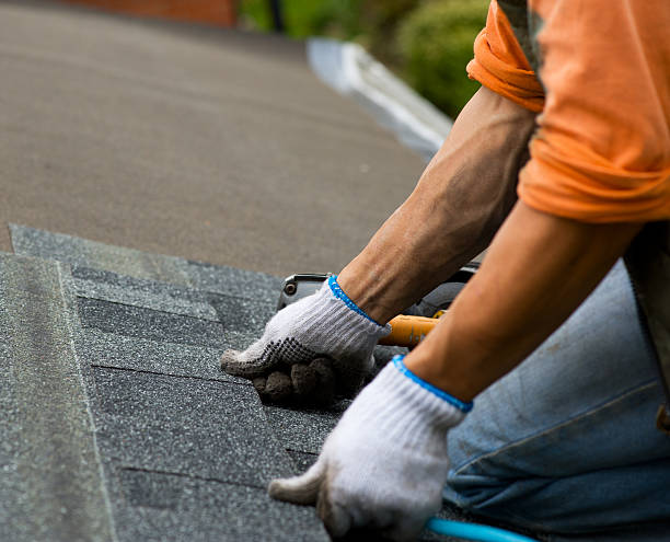 Best Roof Maintenance Services  in Maple Heights, OH