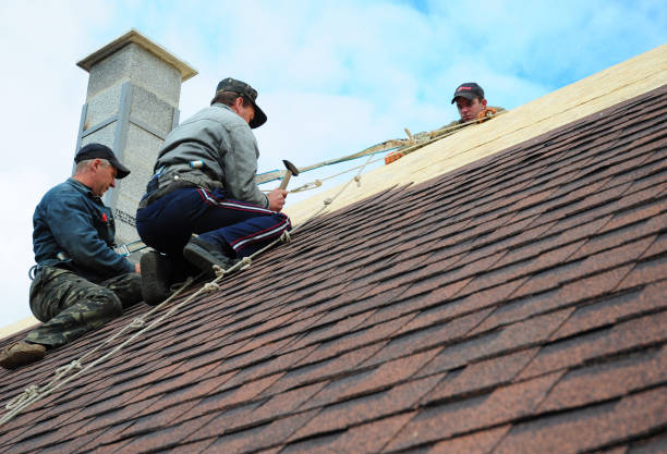 Best Metal Roofing Contractor  in Maple Heights, OH